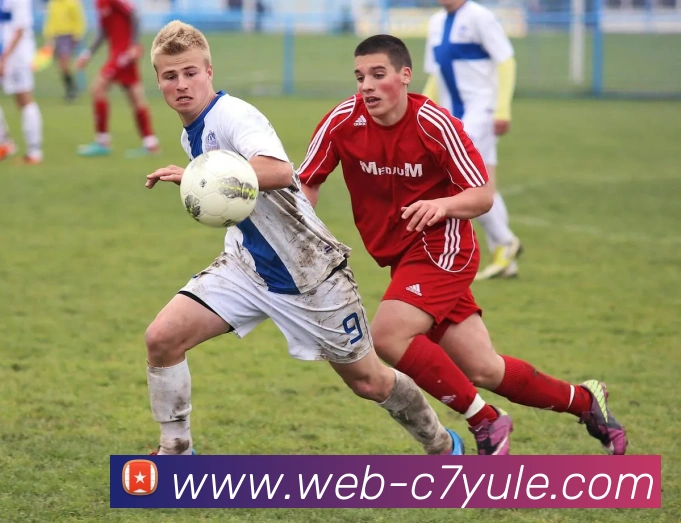 C7娱乐平台生态图